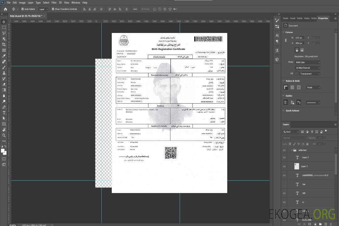 Certificat d'enregistrement de naissance au Pakistan template
